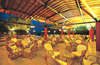 Club Phaselis 